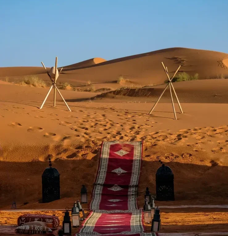 Why Choosing a Unique Desert Safari Camp Makes Your Dubai Trip Special