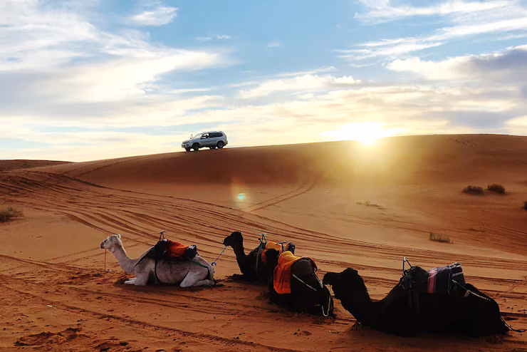 Can I Go on a Desert Safari in Dubai in Summer?
