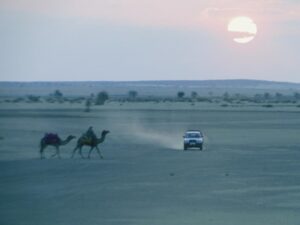 Top Tips For First Time Visitors to Desert Safari Dubai