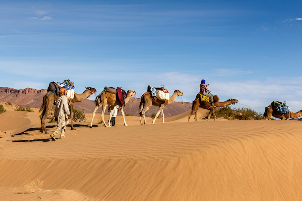 Top 5 Abu Dhabi Desert Tours for Adventure Lovers