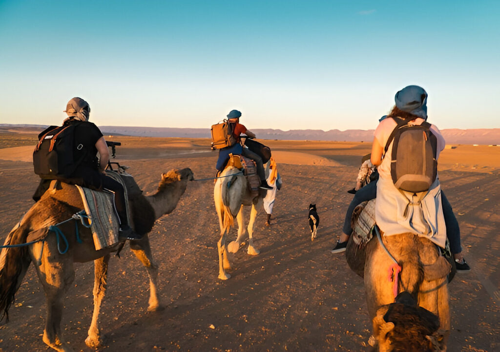 How to Ride a Camel in Dubai