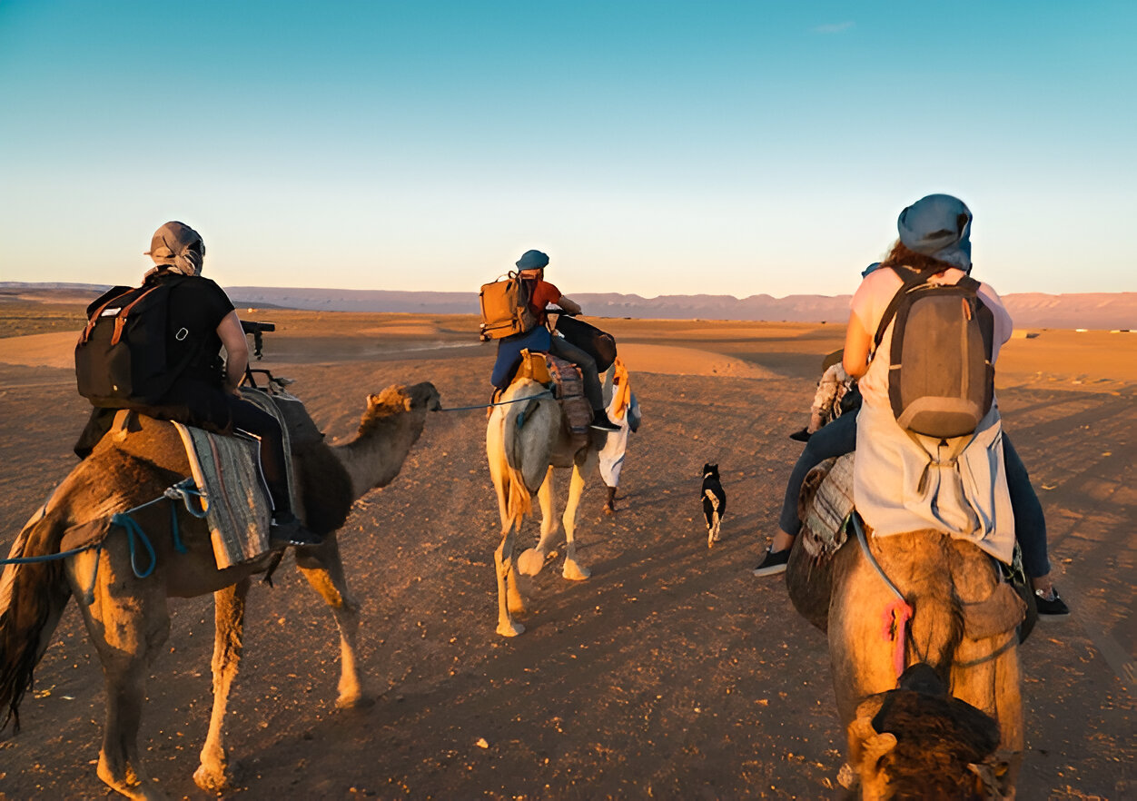 How to Ride a Camel in Dubai