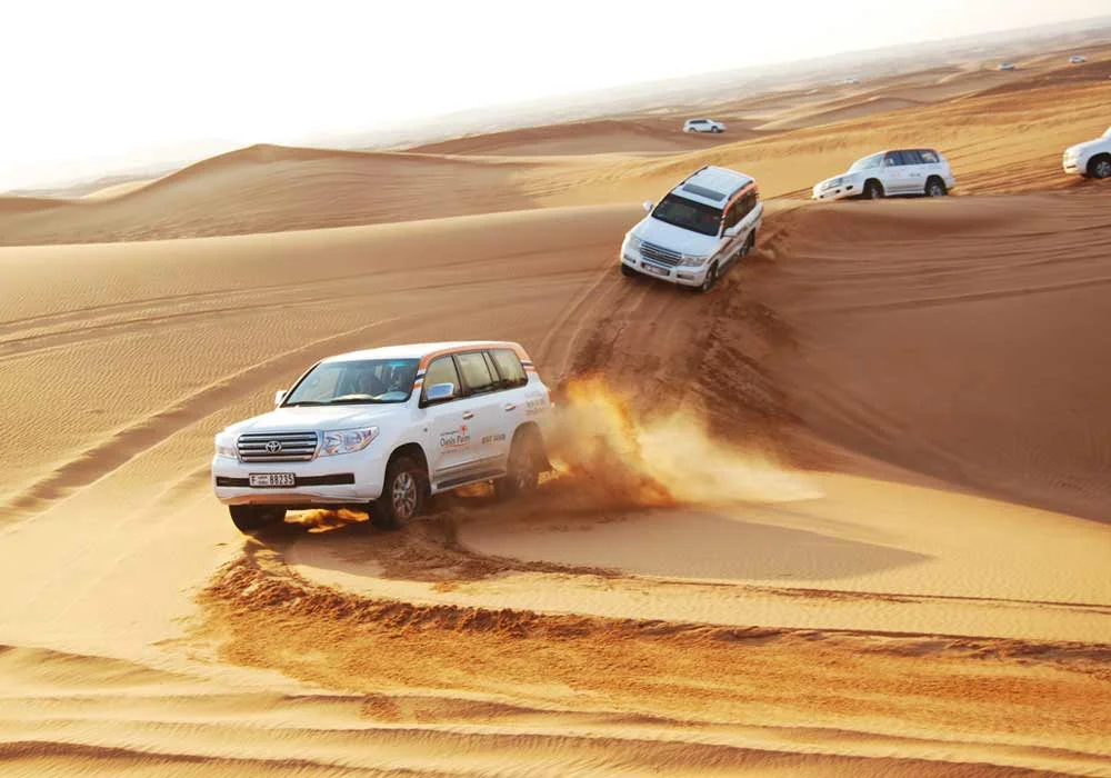Morning Desert Safari