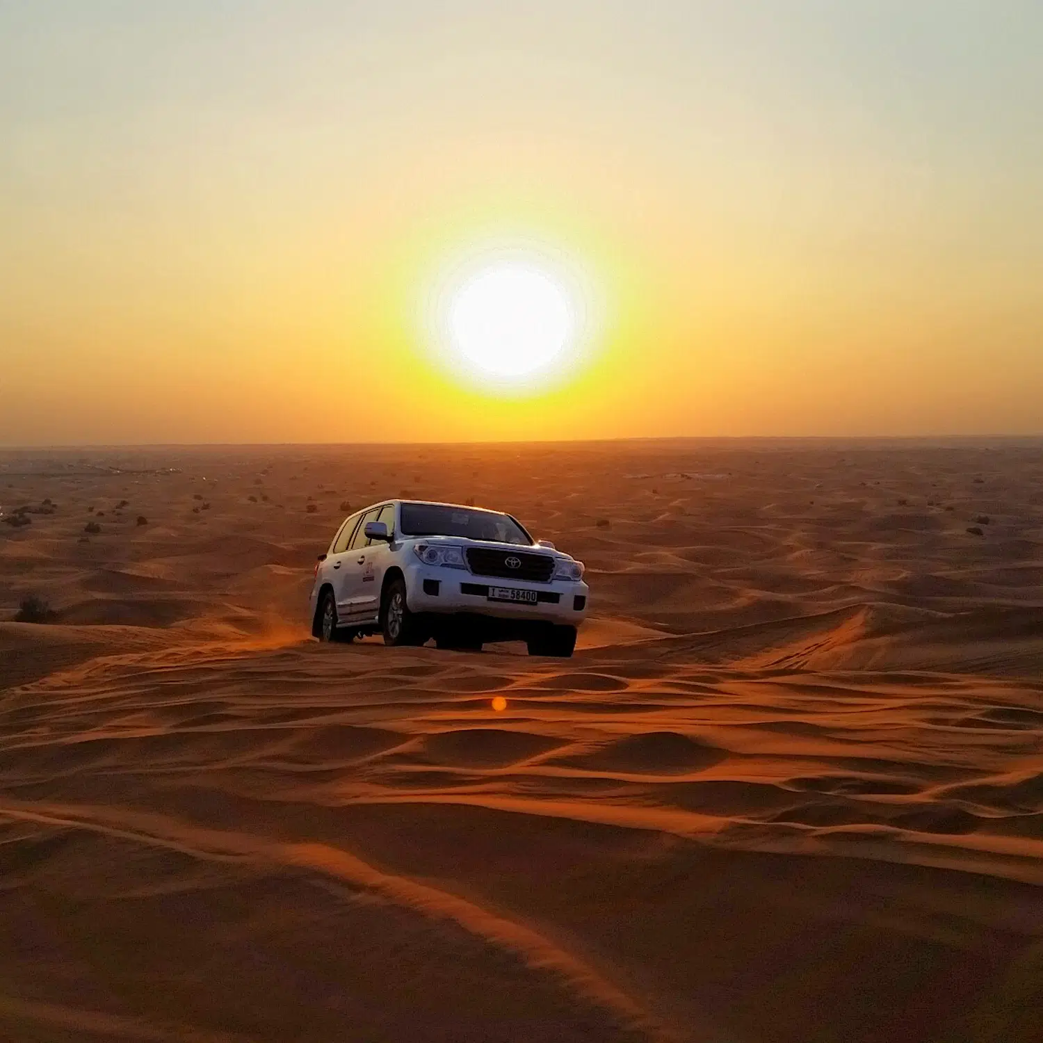 Evening Desert Safari