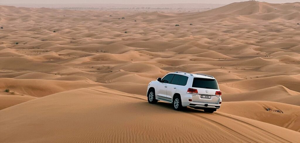Morning Desert Safari, Dubai​